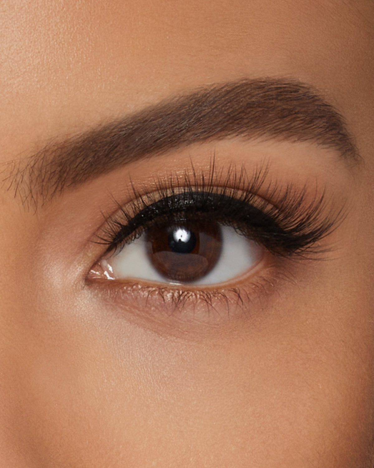 Lilly Lashes | Luxury Synthetic Lite Lashes | Classy False Lash | Eye Crop