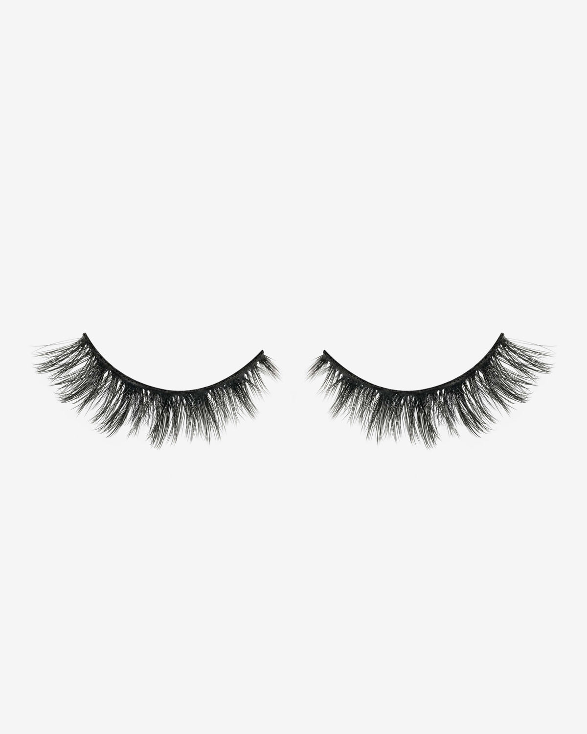 Sasha ~ Lash
