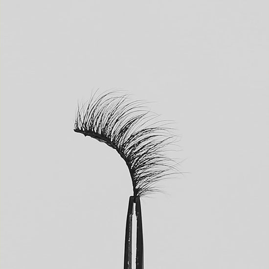 Lilly Lashes | Butterfl'eyes - Angel Half Lash rotating lash video