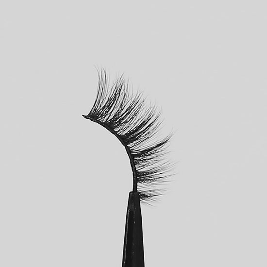 Lilly Lashes | Butterfl'eyes - Sassy Half Lash rotating lash video